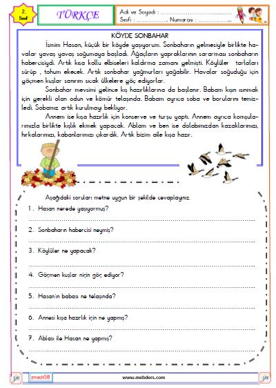 2. Sınıf Türkçe Okuma ve Anlama Metni Etkinliği ( Köyümüzde Sonbahar )